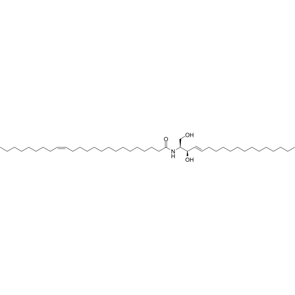 C24:1-Ceramide 54164-50-0